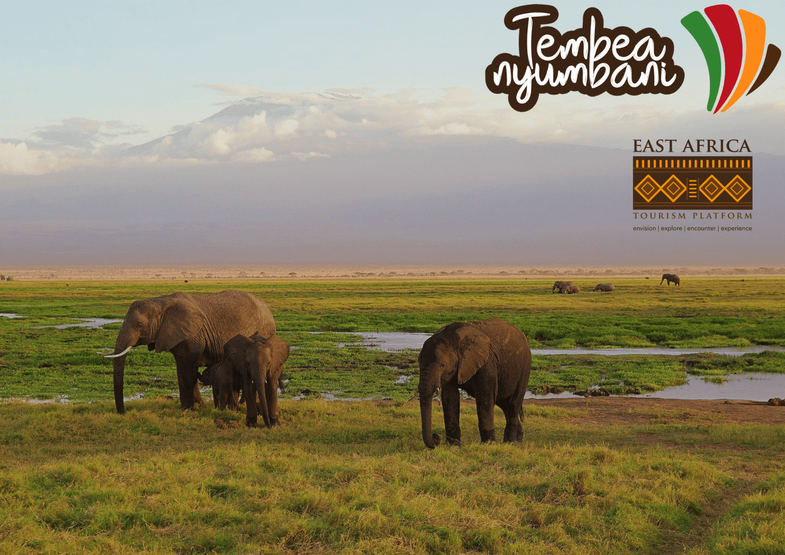 East Africa Tourism Platform launches ‘tembea nyumbani’