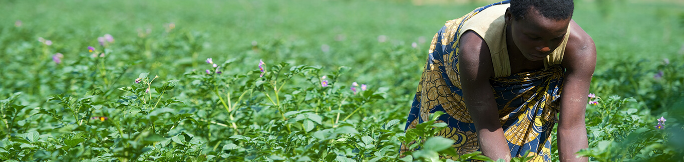 Setting standards in Rwanda’s food industry