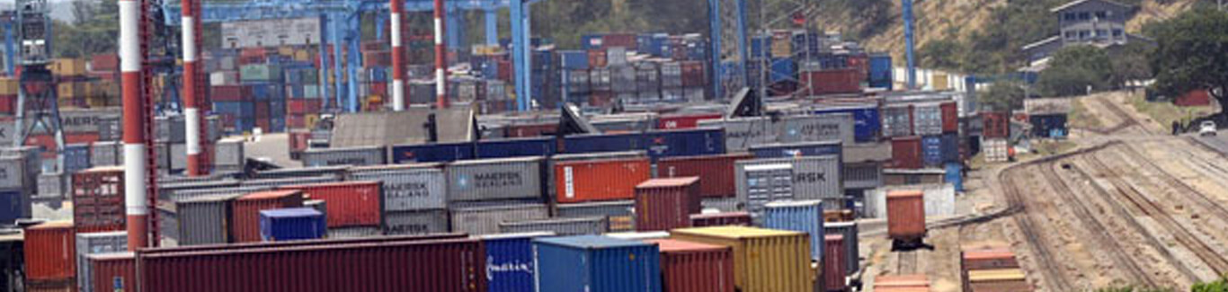 One year later, Single Customs Territory drives growth in trade