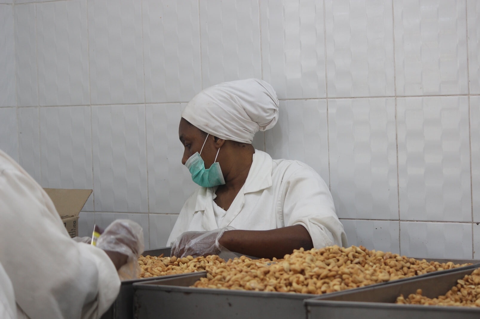 TBS 15 - Labourers at Nature ripe_s processing facility at work