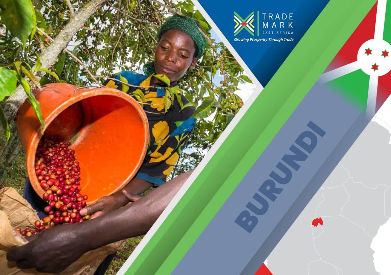 Burundi Annual Report 2020 21 TradeMark Africa   Tmea Burundi 