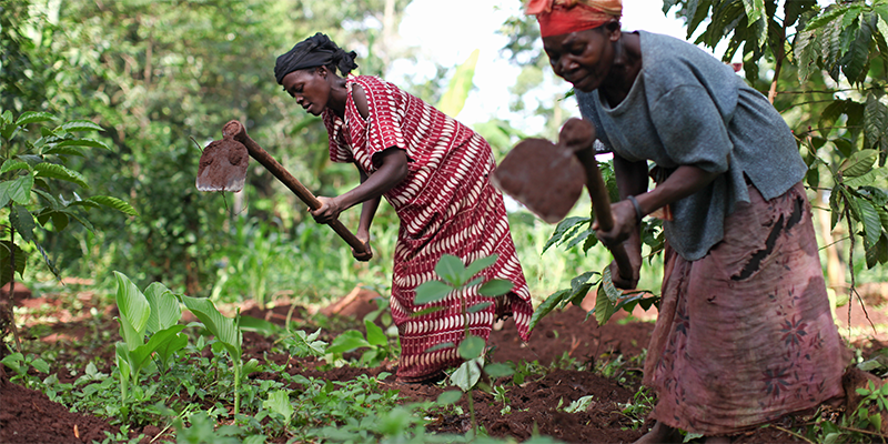 Opening up new frontiers for young people and refugees in agribusiness