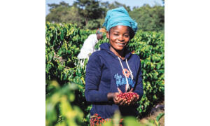 Northern Province: Zambia’s leading coffee producer