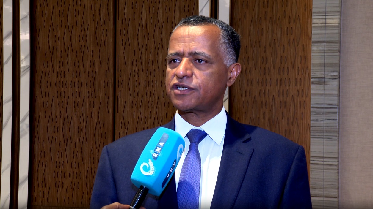 Ethiopia Actively Promoting Regional Integration through Infrastructure Dev’t: Experts