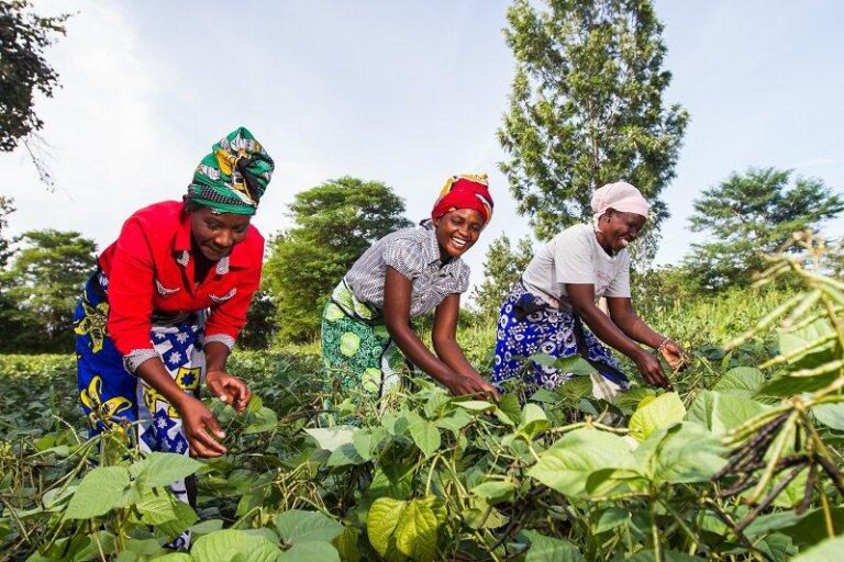 African Women TMA
