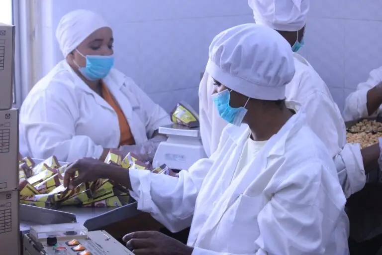 TBS-4-Labourers-at-Nature-ripe_s-processing-facility-at-work