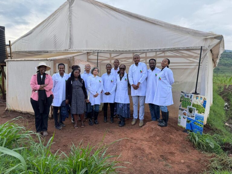 VIBE-partner-visit-to-RAI-Green-Stalks-farm-in-Rwanda_2-2048x1536
