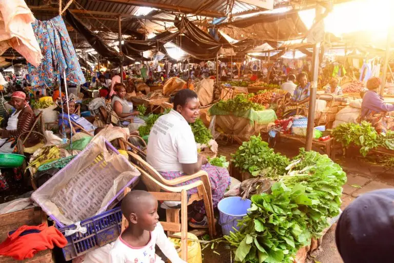 Country-program_Kenya_banner