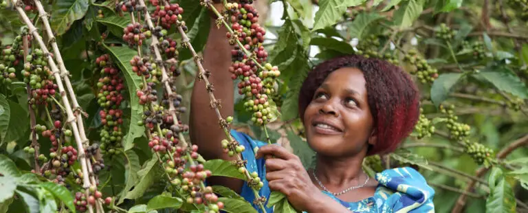 1002Nucafe-Masaka-Namubiru-Judith-1