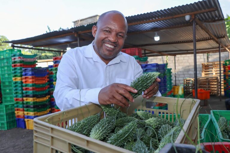 Clement-Manyatta-holding-a-harvested-bitter-melon-at-the-firms-premises-in-Arusha-Tanzania-in-2025-2048x1365