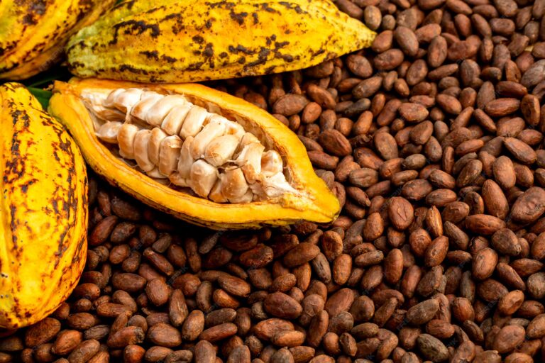 aromatic-cocoa-beans-as-background-cocoa-beans-cocoa-fruits-wooden_61243-456