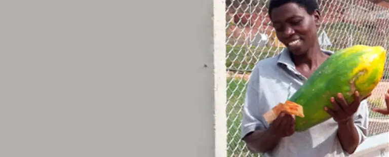banner-1