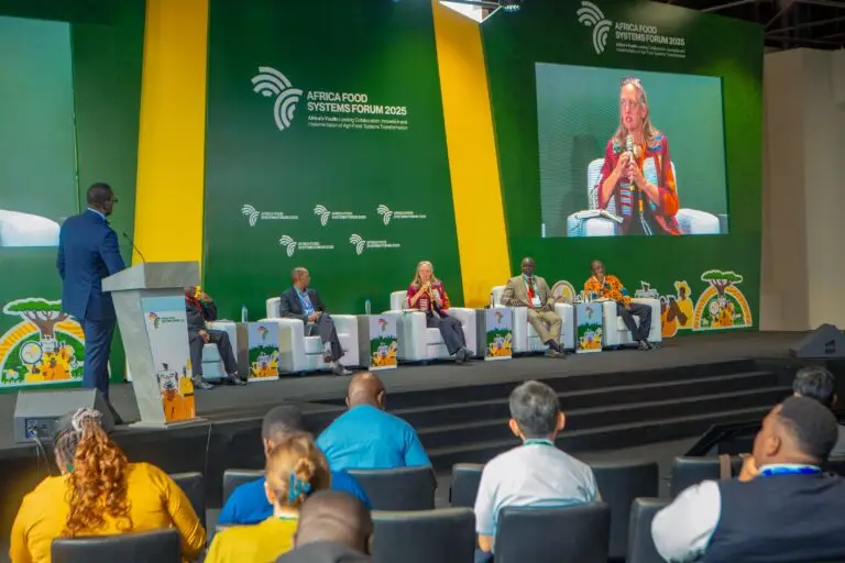 Moving Africa’s high-potential value chains from policy ambition to action and market access