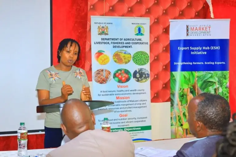 Makueni mango output reaches 183,891 tons in Kenya