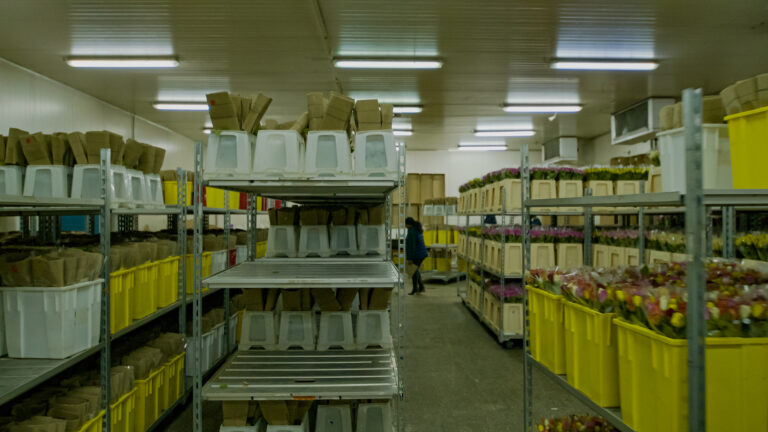 20231127_TMA_FARM TO PORT3