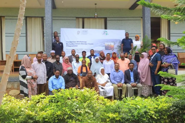 Validation Workshop Confirms Gains for Women and Small Traders at the Moyale Border