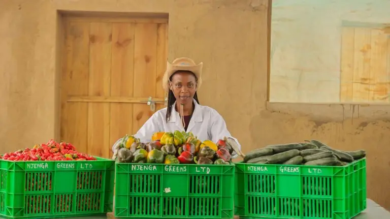 Rwanda’s farms step into global markets, one certification at a time