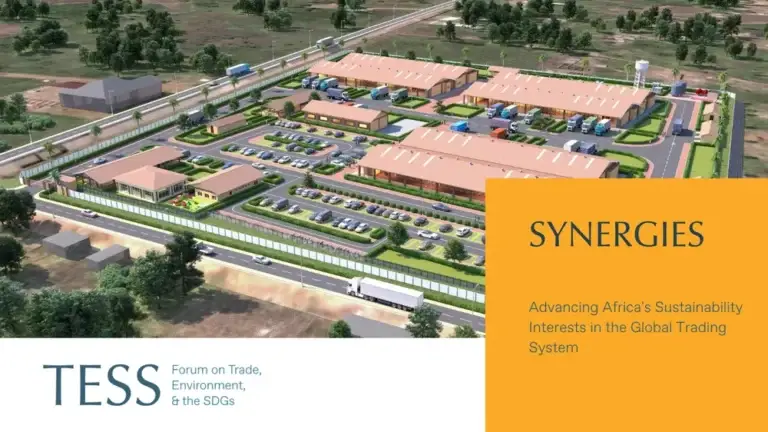 Synergies-Card-Africa-Asiimwe
