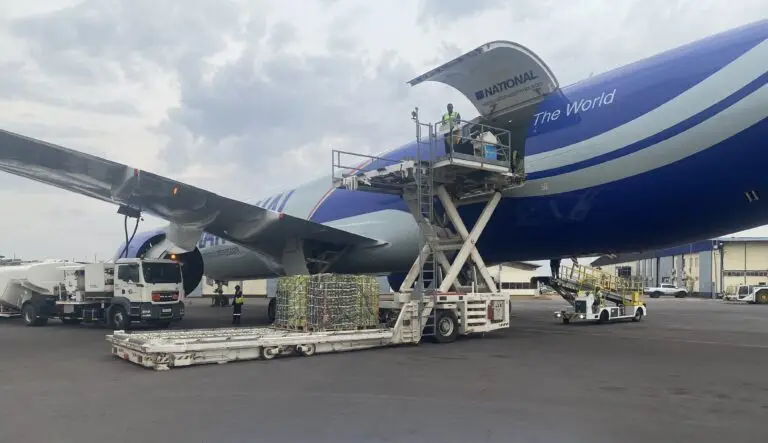 Rwanda’s large avocado airlift connects 1,000 farmers to the UAE market