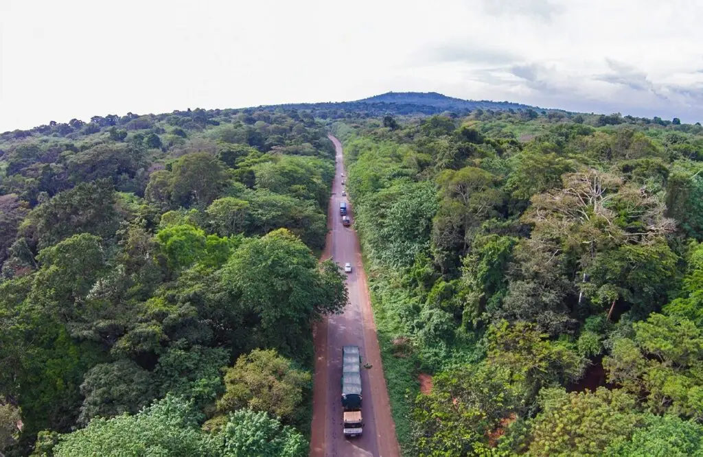 Cargo trucks on a highway through forest in East Africa