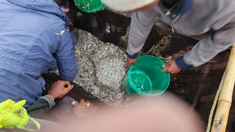 RSK identifies measures to support safer fisheries trade in East Africa