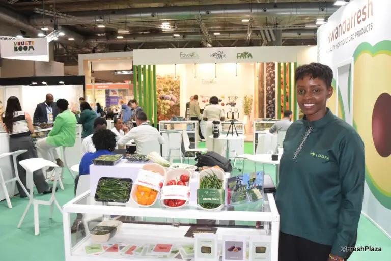 Rwandan chili exporters prepare for the winter window in EU and UK